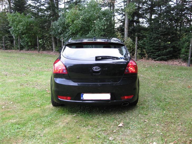 Kia pro_cee'd Sport (SOLGT) billede 17