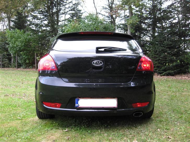 Kia pro_cee'd Sport (SOLGT) billede 18