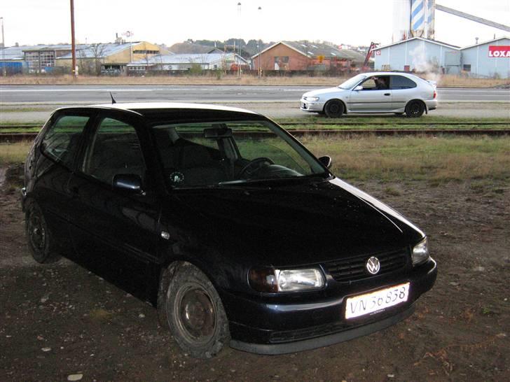VW VW Polo Mk III 6N 1,6 billede 3