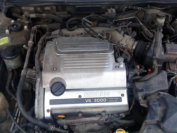 Nissan maxima QX billede 10