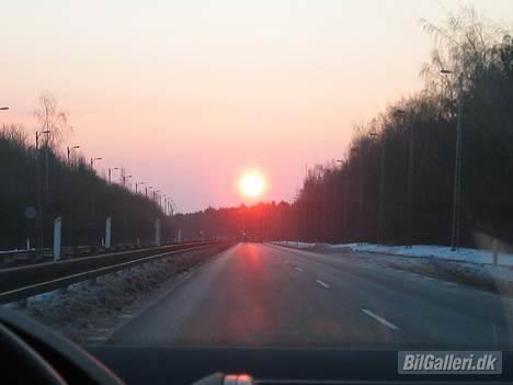BMW 320 I - Solopgang på Helsingørmotorvejen billede 13
