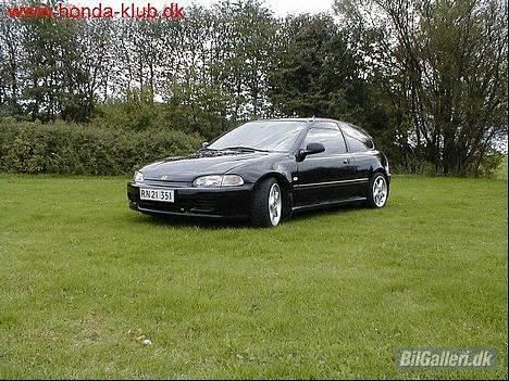 Honda Civic 1.6 Esi *SOLGT* - Da jeg købte den, sommer 2003 billede 7