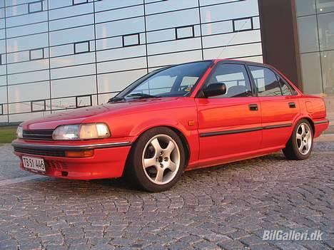 Toyota Corolla XL 1.3 (SOLGT) billede 11