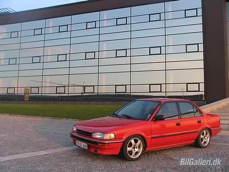 Toyota Corolla XL 1.3 (SOLGT) billede 12