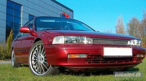 Honda accord billede 3