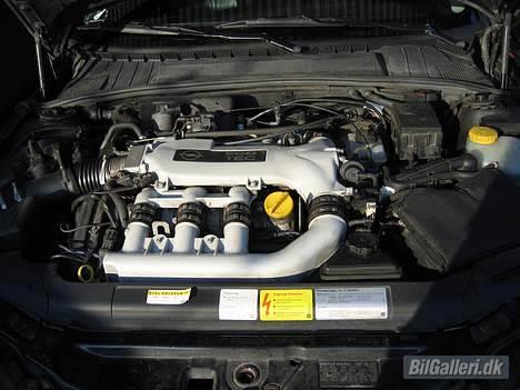 Opel Vectra B  V6 Wagon billede 8