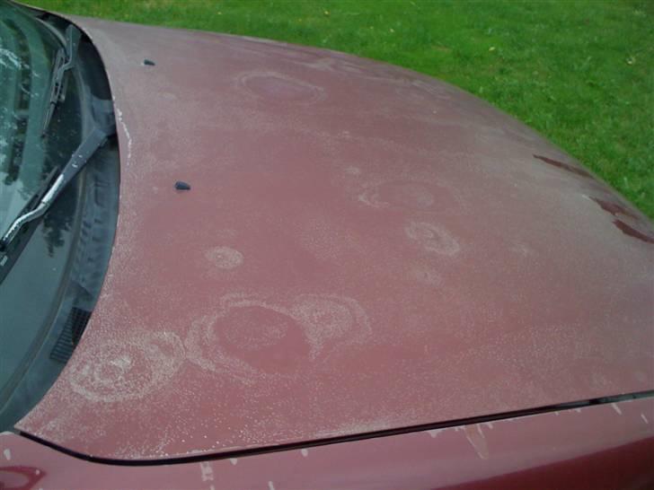 Toyota Camry 2,2 GL  - Klarlakken er boblet på undersiden af hjælmen så resten fulgte trop, godt den skal males om  billede 12