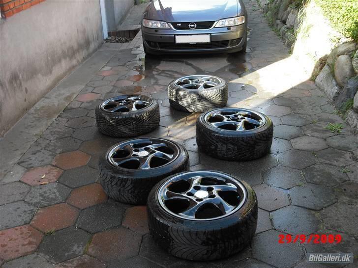 Opel Vectra B ~ 2,6 V6 Wagon - De gamle fælge...   (Porsche 911 Turbo 18x8,5") billede 18