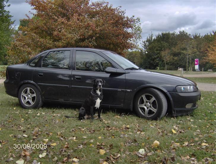 Opel Vectra b 2.0 16v - Ekstra tyveri alarm :p billede 1