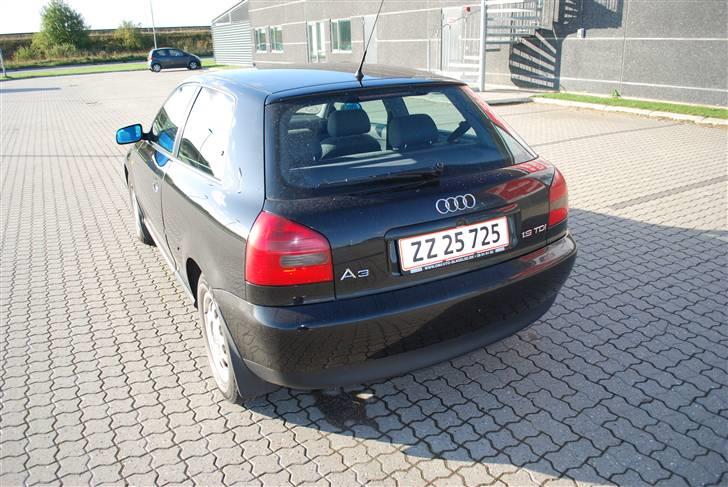 Audi A3 TDI billede 7