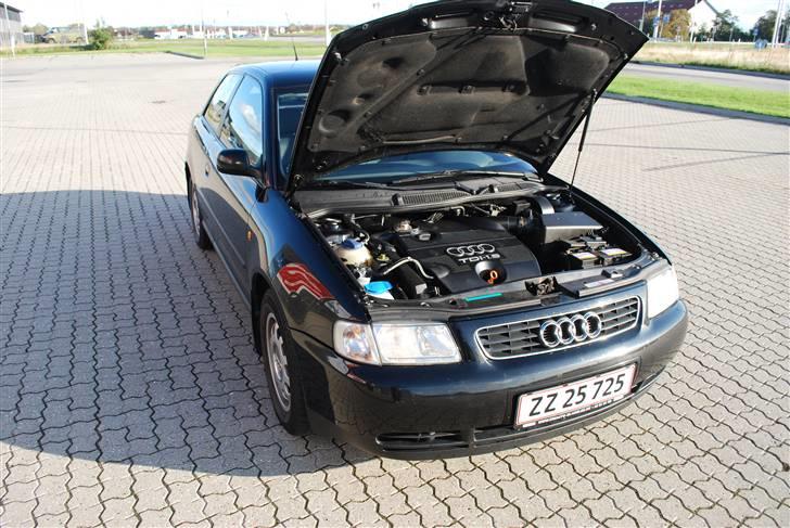 Audi A3 TDI billede 14