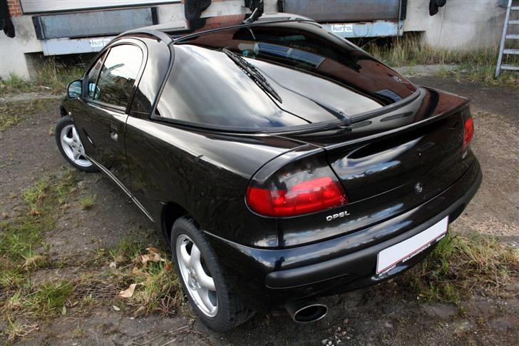 Opel Tigra 1,6i 16V billede 2