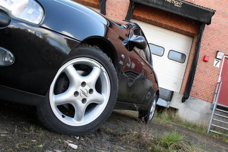 Opel Tigra 1,6i 16V billede 11