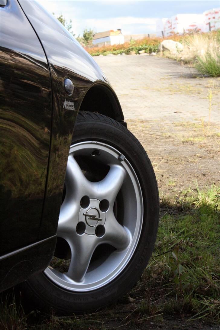 Opel Tigra 1,6i 16V billede 13