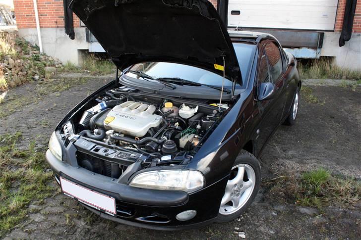 Opel Tigra 1,6i 16V billede 15