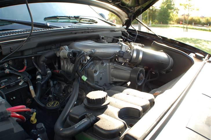 Ford f150 svt lightning billede 15