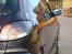 Peugeot 206 GTi *Solgt*