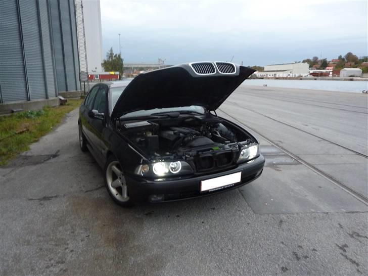 BMW E39 528i SOLGT billede 15