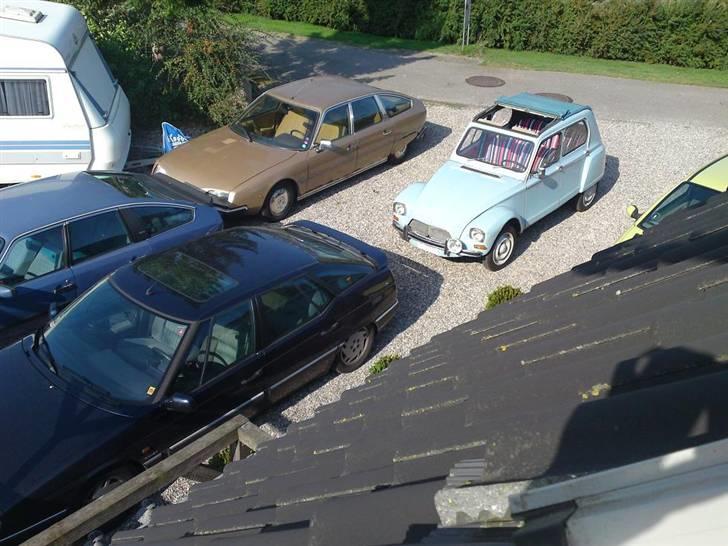 Citroën Dyane 6 - Her står hun og hygger sig i solen med resten af flokken... billede 20