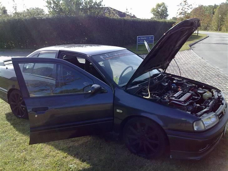 Nissan Primera billede 8