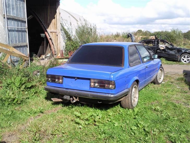 BMW e30 billede 12