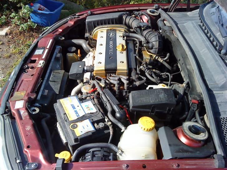 Opel Vectra B billede 10