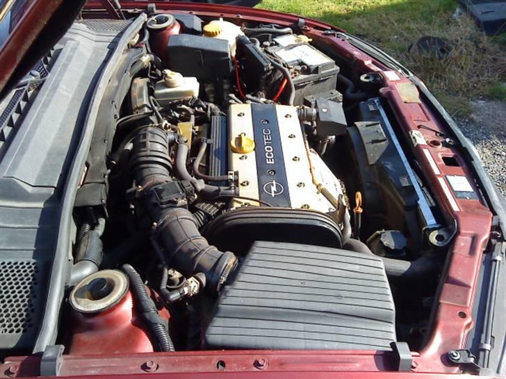 Opel Vectra B billede 11