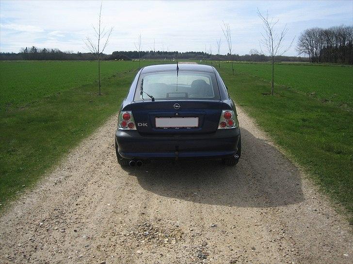 Opel  Vectra b  billede 4