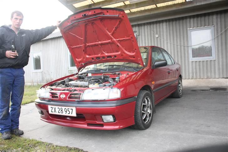 Nissan Primera 1,6 LX (Byttet) billede 13