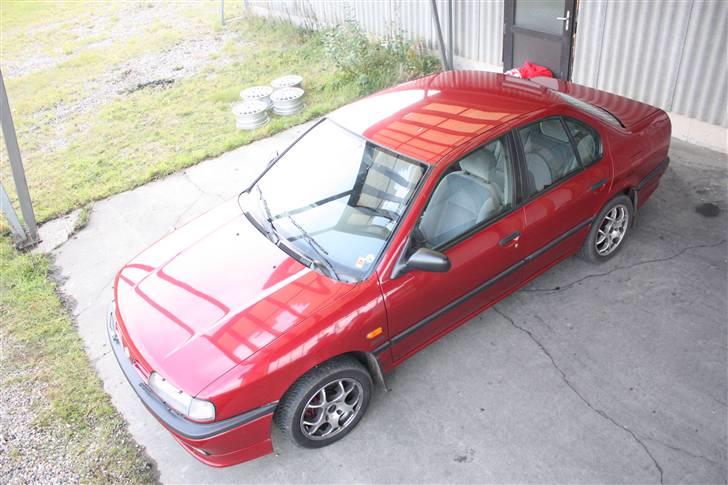 Nissan Primera 1,6 LX (Byttet) billede 15