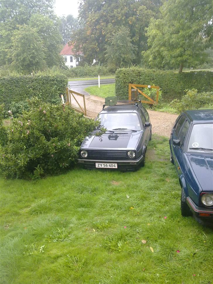 VW golf td retro billede 3