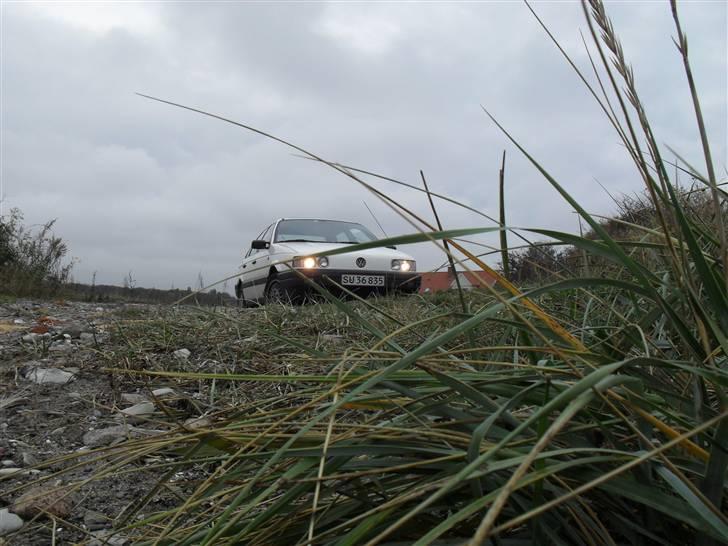 VW Passat 1,6 td.. Død skrot billede 2