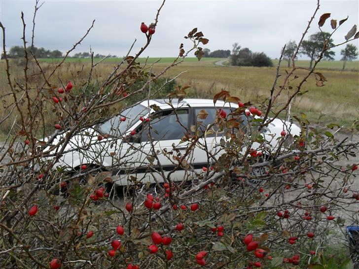 VW Passat 1,6 td.. Død skrot billede 8