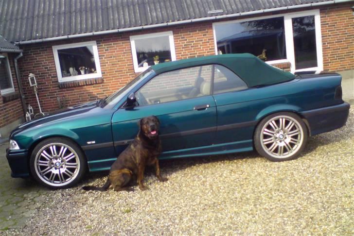 BMW E36 328i Cabriolet - To af mine højst elskede ting - Barbiebussen og Simbaaaaaaa.... billede 19