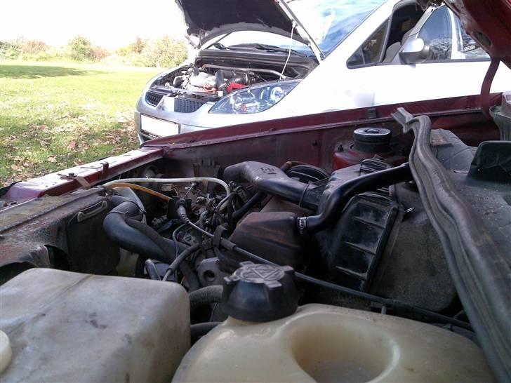 VW Golf 1 D "Røgmaskine" - Vilddyret billede 13