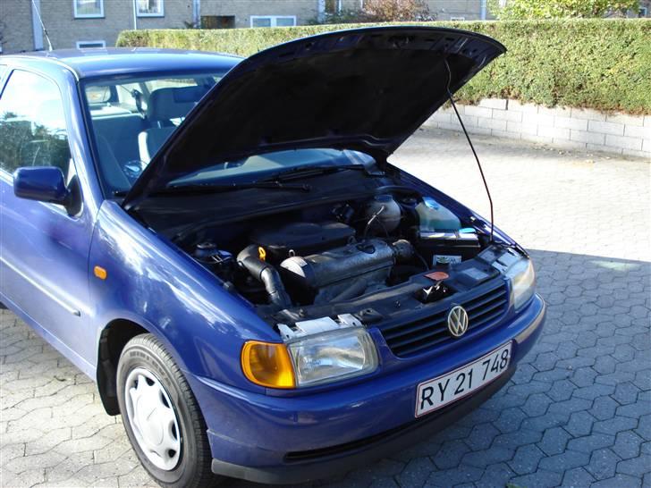 VW Polo 6n billede 2