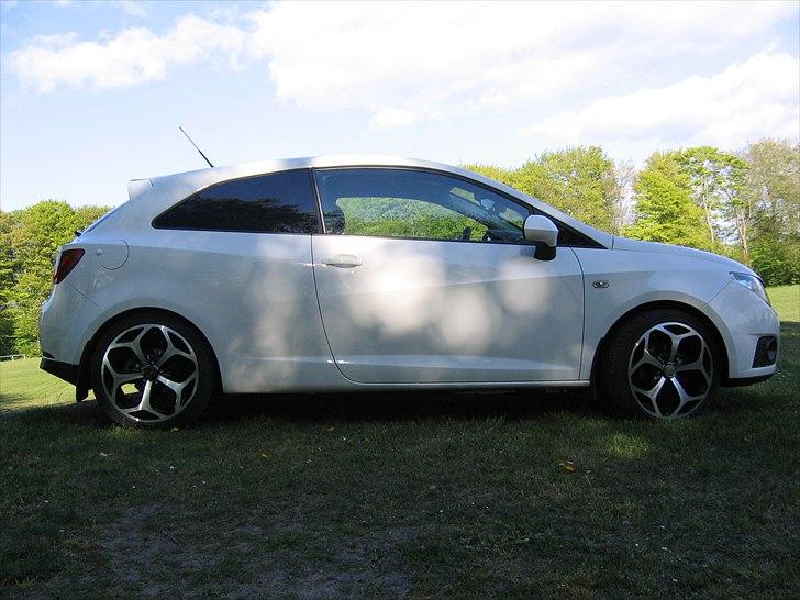 Seat Ibiza Ecomotive (tidligere bil) billede 5