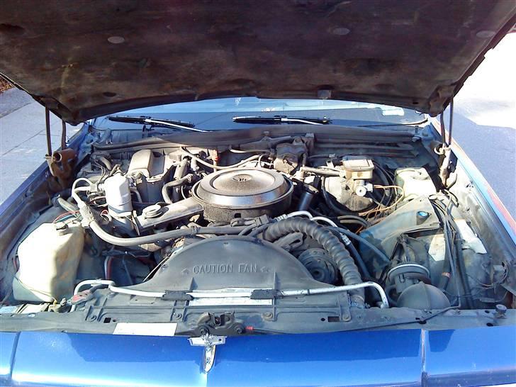 Chevrolet Caprice Brougham billede 7