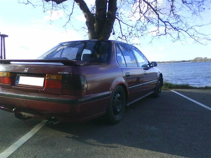 Honda Accord billede 4