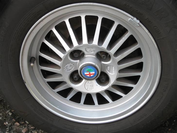 Alfa Romeo Spider Veloce - OZ 6x14 klassisk med bred kant, de er lagt på lager efter jeg fik Cromodora på billede 12