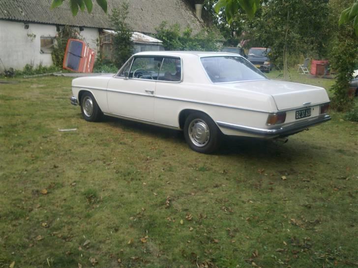 Mercedes Benz W115 250ce /8 billede 19