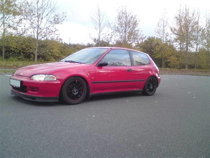 Honda civic billede 10