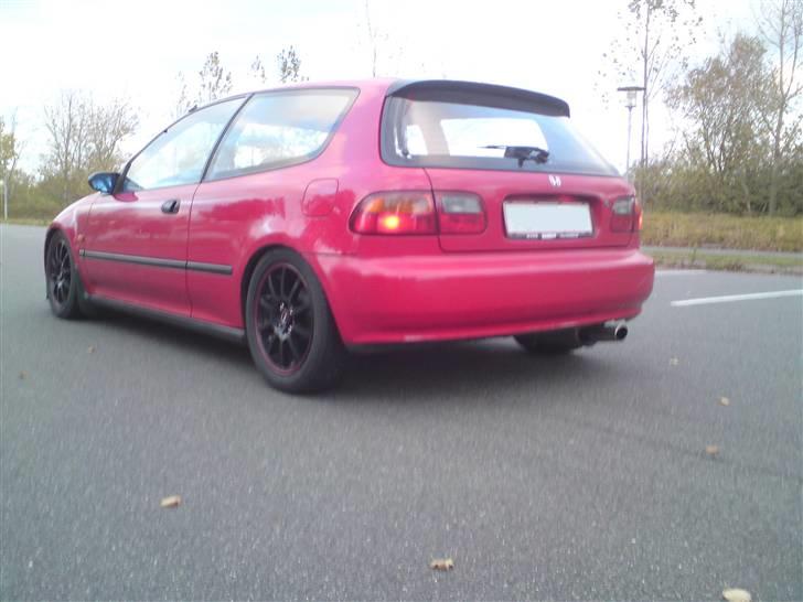 Honda civic billede 11