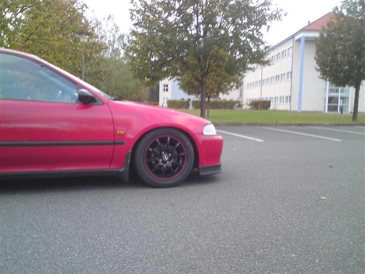 Honda civic billede 13