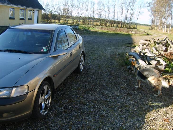 Opel vectra B billede 2