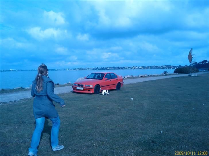 BMW E36 - 320i SOLGT billede 13