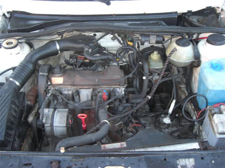 VW golf 2 pasadena byttet billede 9