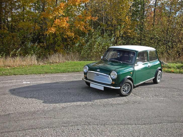 Mini Mascot billede 1