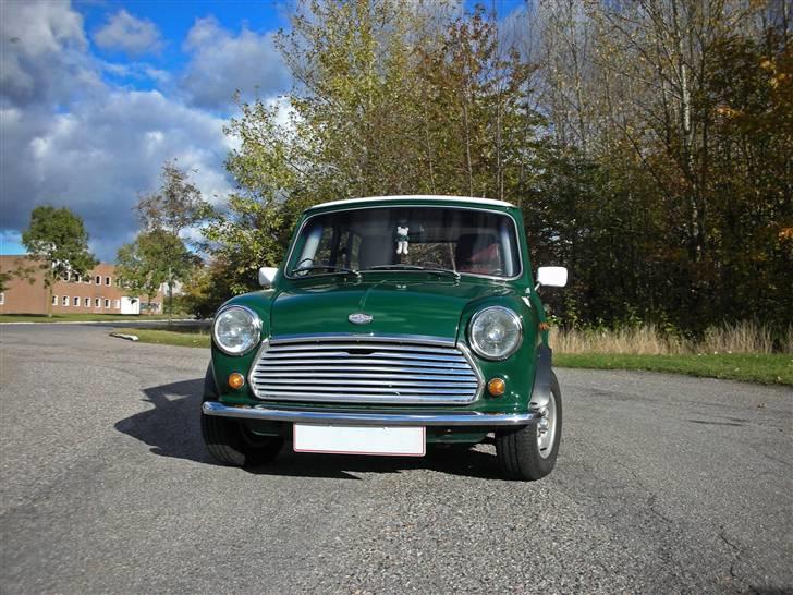 Mini Mascot billede 5