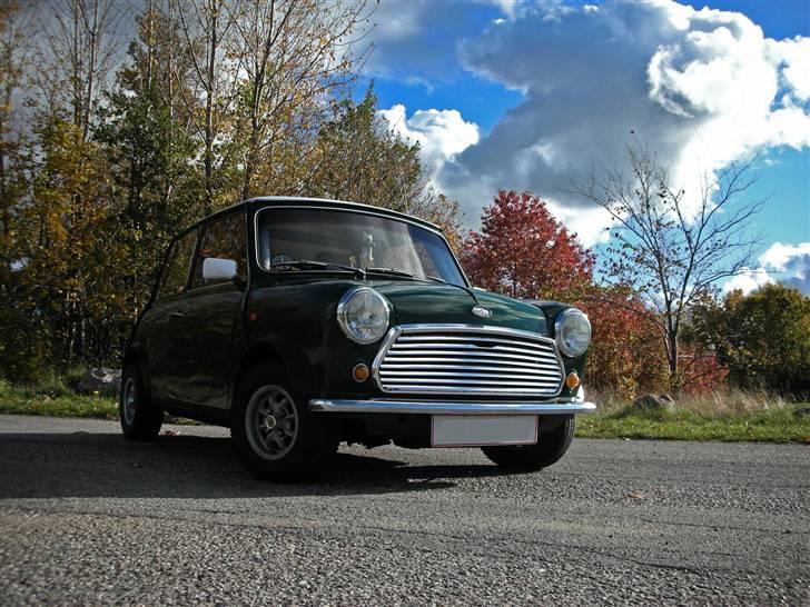 Mini Mascot billede 8